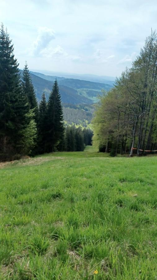 Panorama Apartman Svadlenka Rokytnice nad Jizerou Exteriör bild