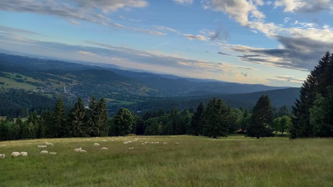 Panorama Apartman Svadlenka Rokytnice nad Jizerou Exteriör bild