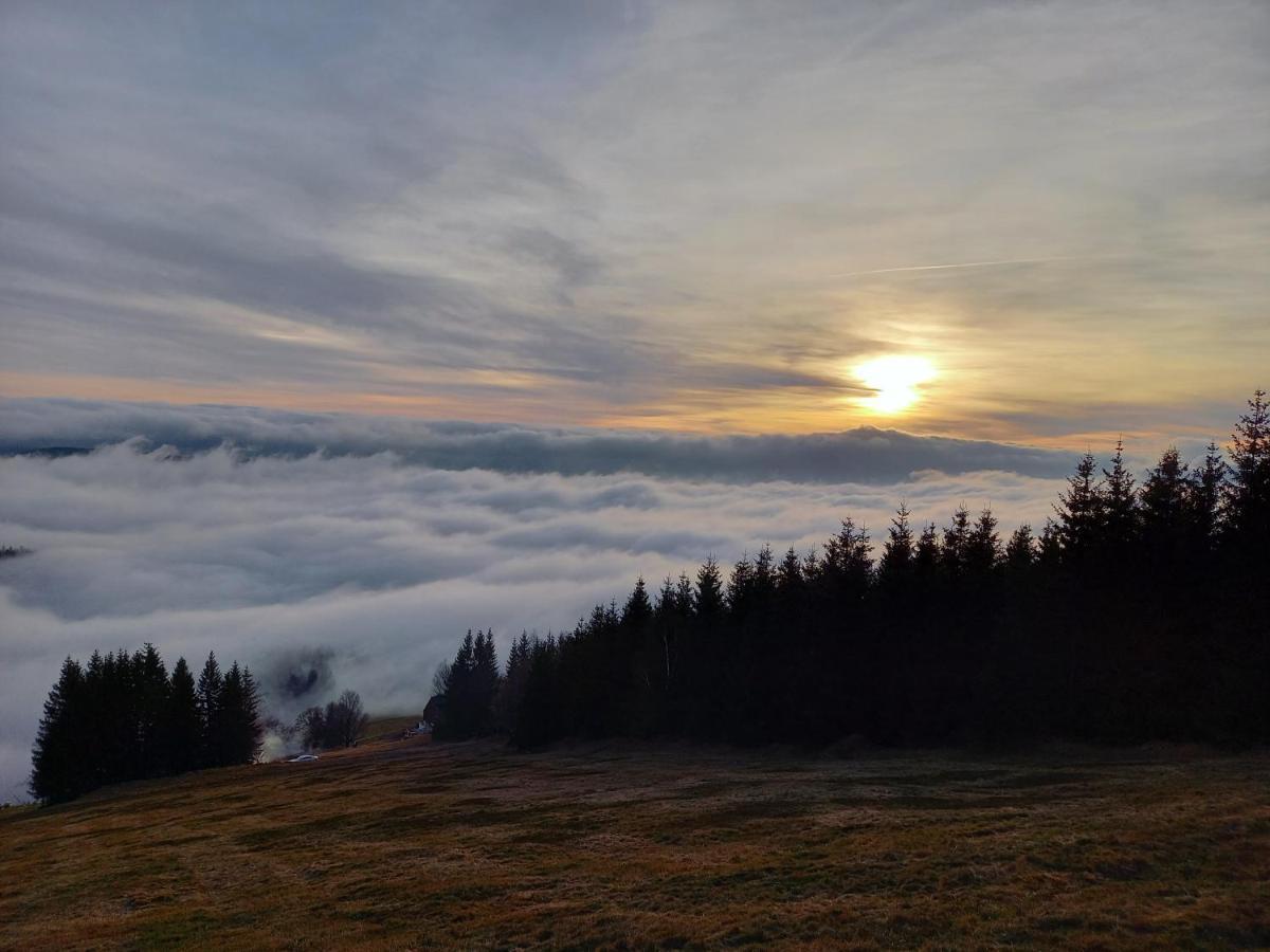 Panorama Apartman Svadlenka Rokytnice nad Jizerou Exteriör bild