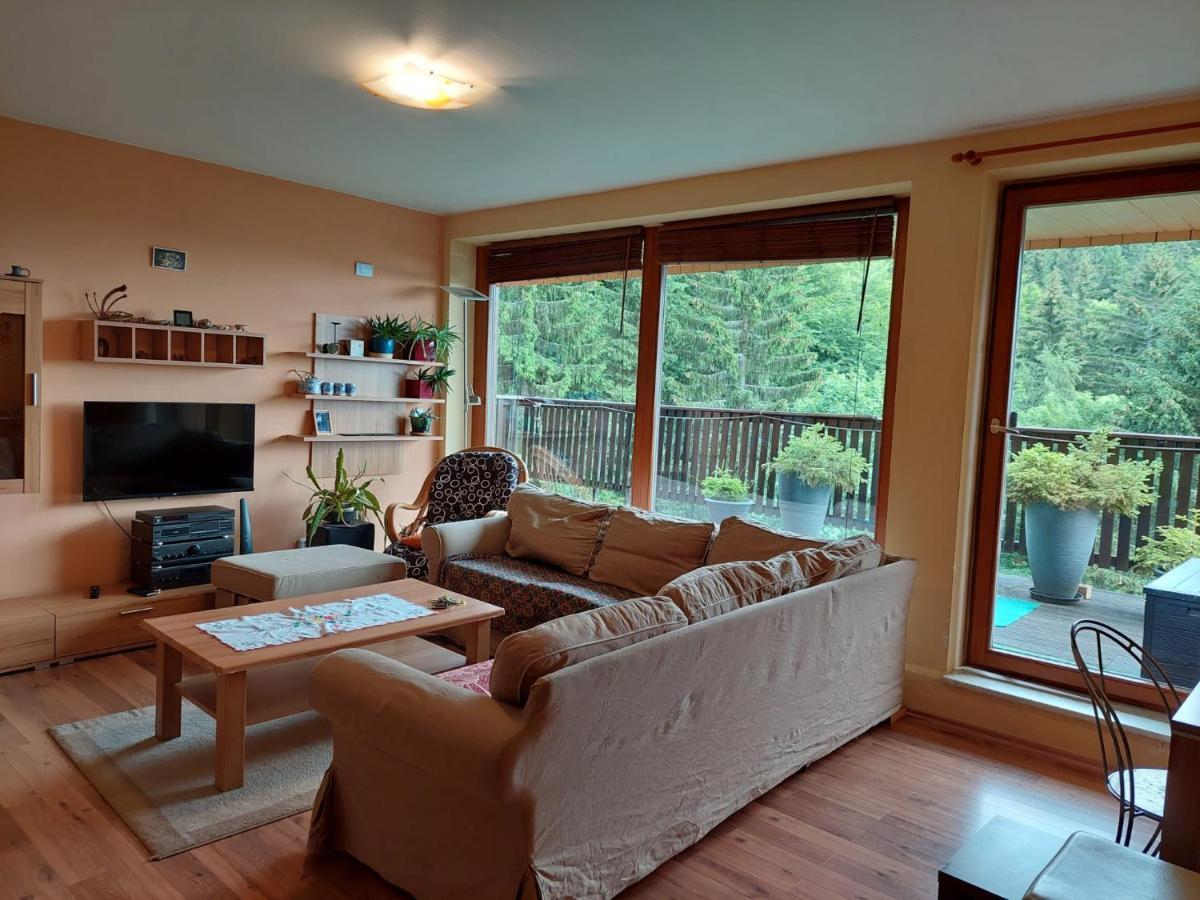 Panorama Apartman Svadlenka Rokytnice nad Jizerou Exteriör bild