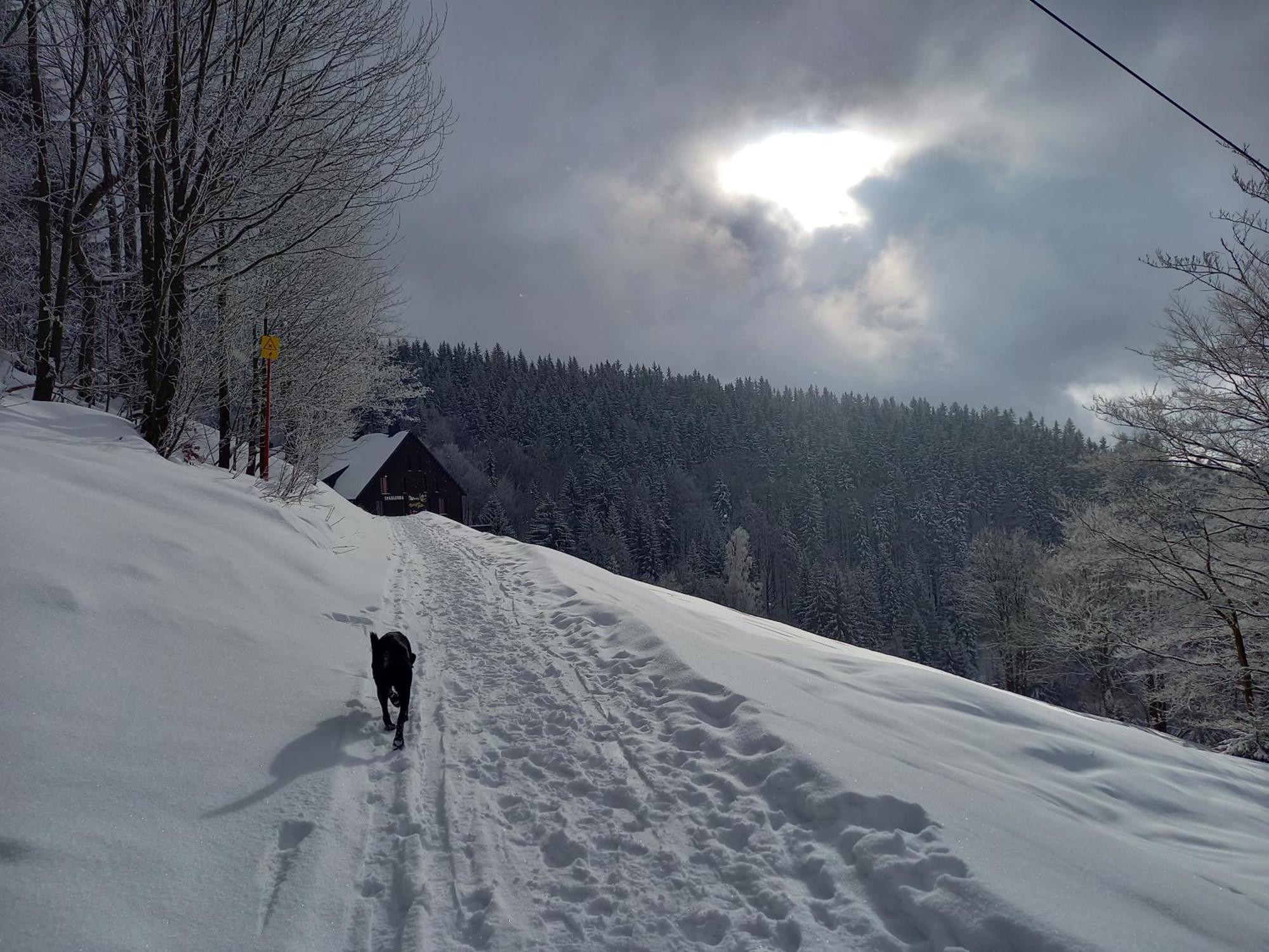 Panorama Apartman Svadlenka Rokytnice nad Jizerou Exteriör bild